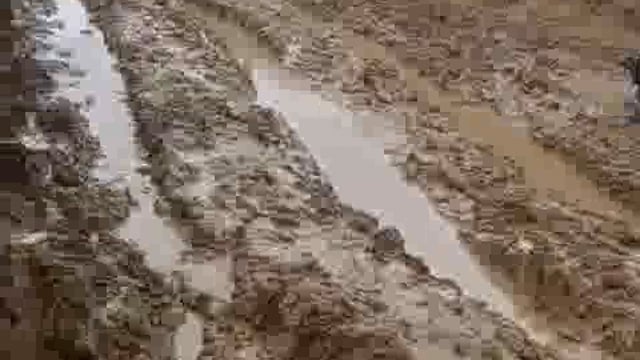 पिनाहट। क्योरी बीच का पुरा  में कच्चा रास्ता दलदल में बदला, वीडियो हो रहा वायरल