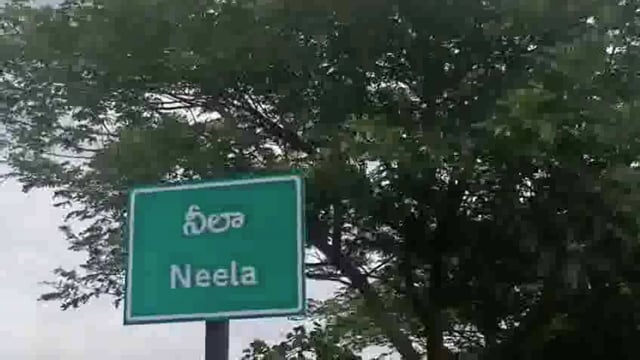 रेंजल मंडल के नीला गांव के समीप स्थित बाबा सैलानी दरगाह पर मोहरम 10 दिनों से मनाया जिसका दृश्य 