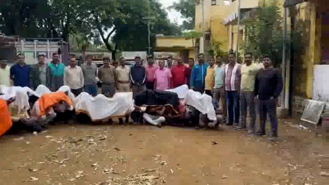 जिल्ह्यात चिखली खुर्द  येथे गौवंशीय जनावरांची अवैध वाहतुक करणाऱ्या १७ पिकअप वाहने पकडुन ;२४ आरोपीना अटक