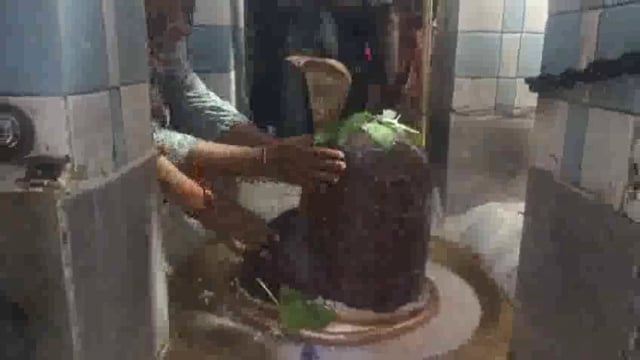 मवाना बहसूमा थाना क्षेत्र के ग्राम पंचायत सैफपुर फिरोजपुर सिद्ध पीठ शिव मंदिर पर श्रावण मास के दूसरे सोमवार को शिव भक्तोंने ने जल अभिषेक किया।