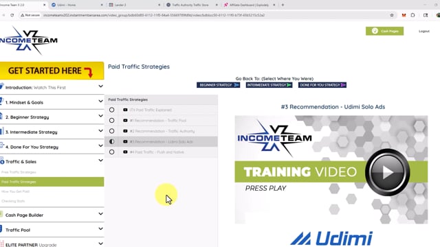 #3 Recommendation - Udimi Solo Ads
