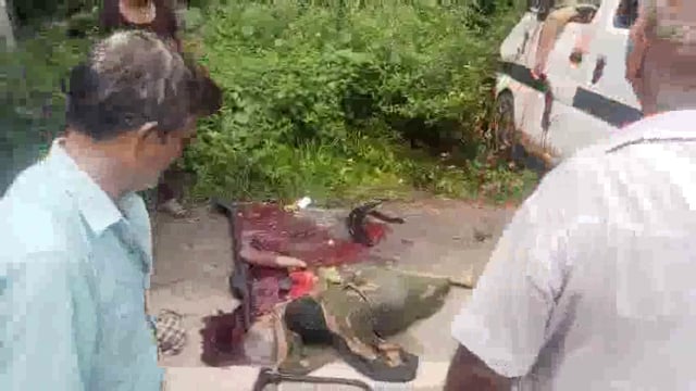 आगरा बाह मार्ग पर सड़क हादसा तेज रफ्तार एक कर अनियंत्रण होकर पेड़ में घुसी हादसे में दो की मौत चार हुए घायल