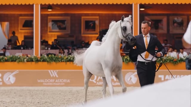GCAT VALKENSWAARD 2025