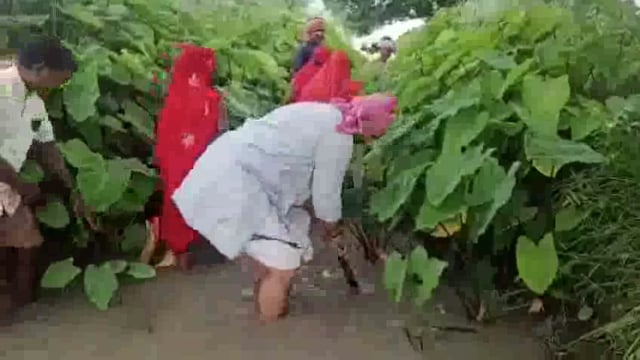 पूर्व विधायक ने किसानों के साथ नहर की कराई सफाई,सफाई के नाम पर हुए भ्रष्टाचार का किया खुलासा