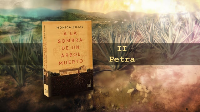 Book Trailer: El Secreto