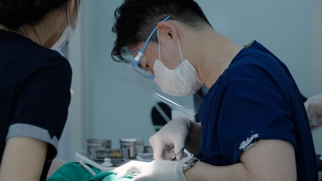 The Seoul Dental Clinic branding video 04