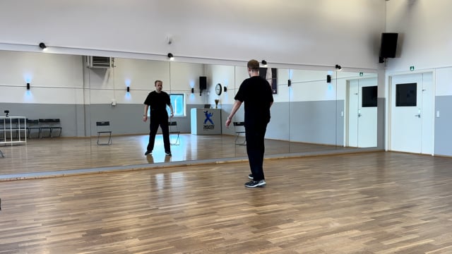 (12-NY) Ud Med Regler! – MGP25 (0% – foran spejl)