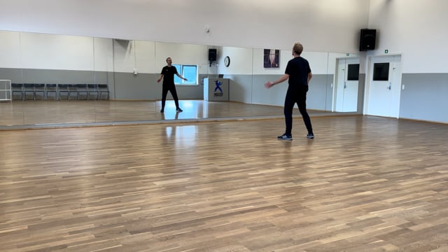 (23) Arabiens drøm – MGP03 (-8% – foran spejl)