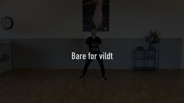 (28) Bar’ for vildt – MGP (-10% – foran spejl – video er spejlvendt)