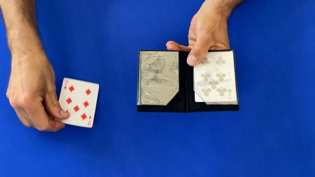 Video Transpo Cards