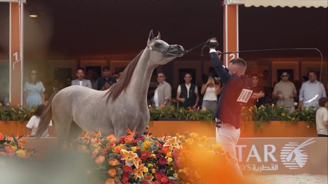 Valkenswaard - The Official Aftermovie 2025
