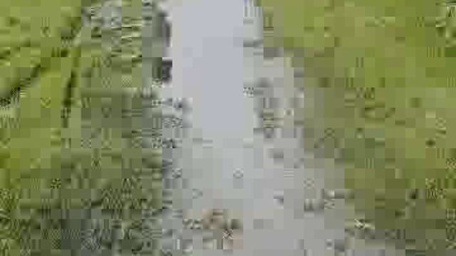 पलिया के मोहल्ला टेहरा शहरी की स्थिति भी है बद से बदतर