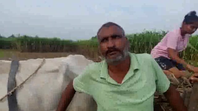 सुरीर थाना क्षेत्र में दर्जनों किसानों की ट्बैलों की तार चोरी अज्ञात बदमाशों के खिलाफ दी तहरीर