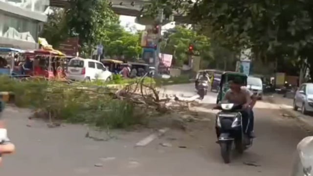 झांसी सीपरी बाजार चित्रा चौराहा पर सड़क पर जा रही स्कूटी पर अचानक से   पेड़ की डाल आ गिरी जिससे से सवार मां और बेटा घायल 