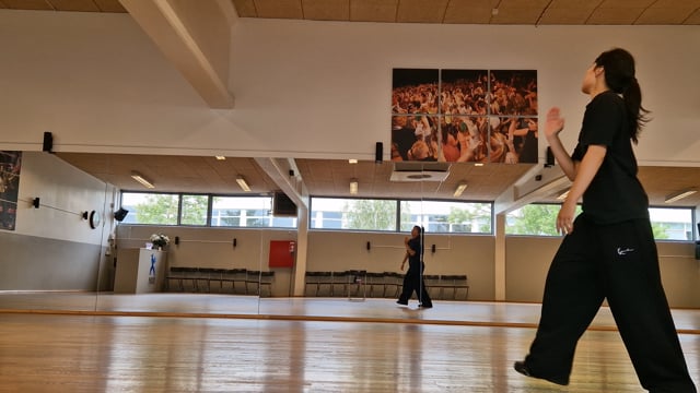 Hip Hop – Gennemgang