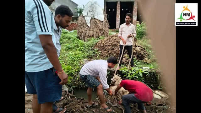 मेरठ बहसूमा सैफपुर फिरोजपु रामराज के राष्ट्रीय गौ सेवा के अधिकारियों ने मृत्यु गौ माता को दी सम्मानपूर्वक  समाधि