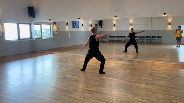 Disco – Gennemgang