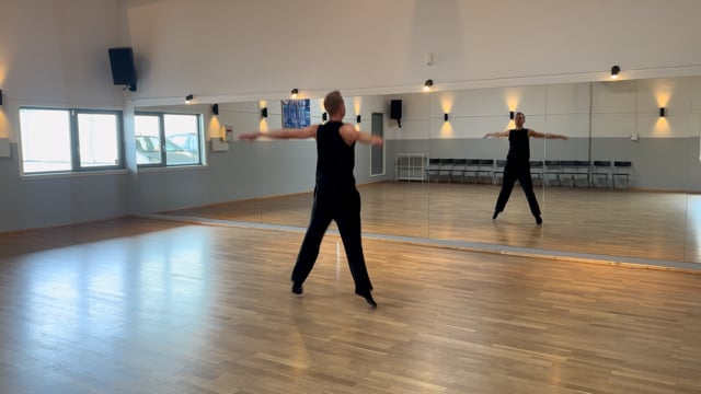 Disco – Gennemgang