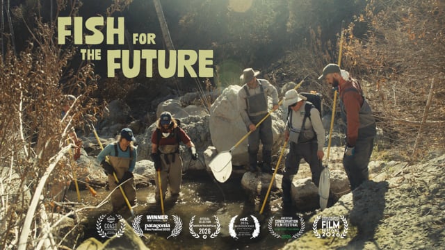 Fish for the Future Trailer