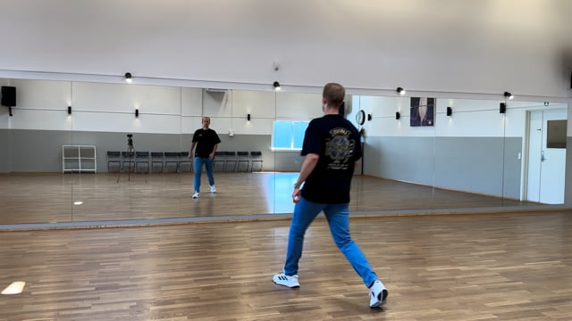 (2) Jeg Er En Gamer – MGP24 (-20% – opvarmningsdans foran spejl).mov