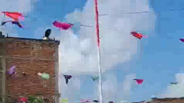 स्वतंत्रता दिवस पर मुखिया ने अलग अंदाज फहराया झंडा, वीडीओ वायरल 