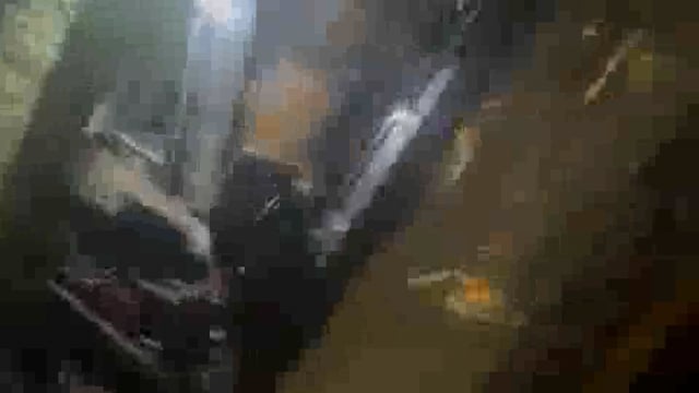 गोवर्धन बरसाना मार्ग पर पलटी मिनी बस 