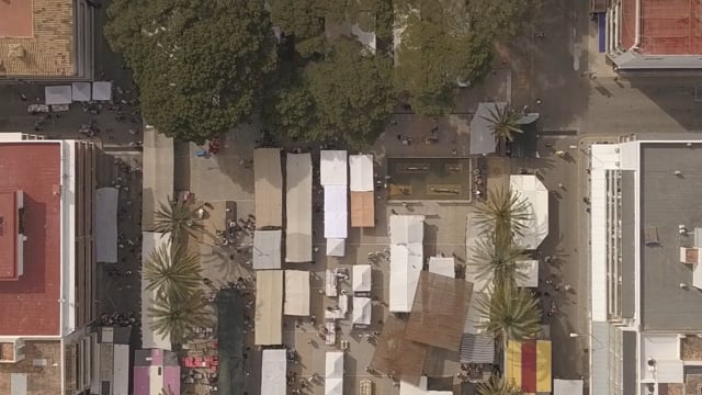 The sea | market | wine — Video 2