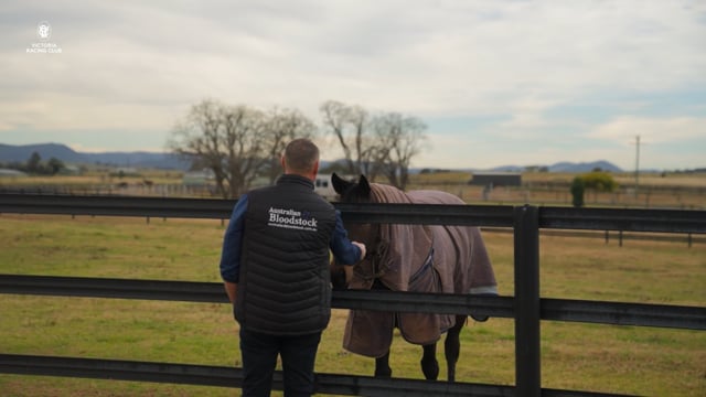 Jamie Lovett talks Protectionist