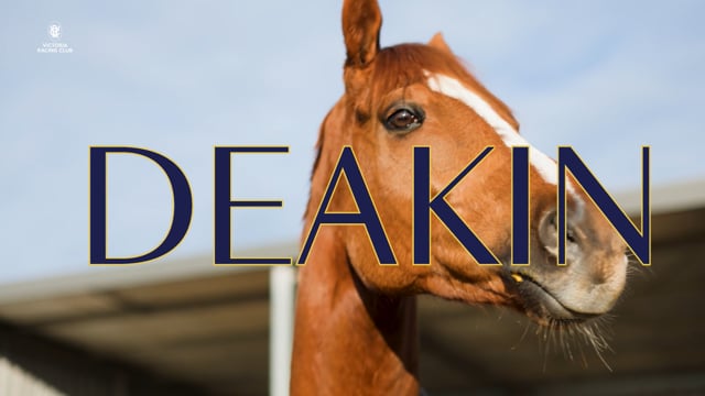 Checking in with Golden Ticket winner Deakin