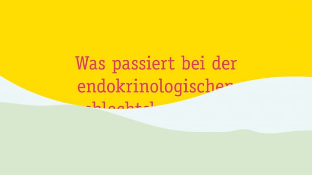 at a glance — Video 2