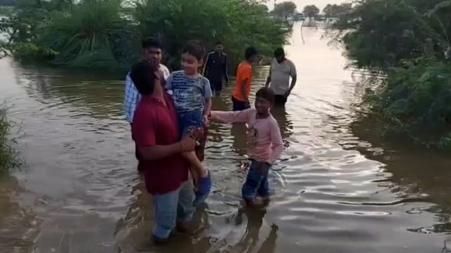 यमुना में जल बृद्धि से किसानों की फसल चौपट, मुआ बजे की माँग,,