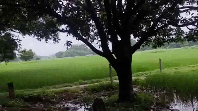 बिजली तार टूटकर नीचे गिरा,बिजली कर्मियों ने नही उठाया फोन