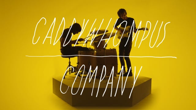 Company