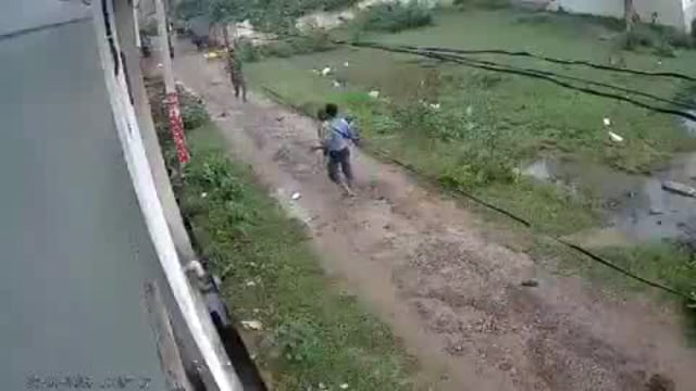 मथुरा: मथुरा में आवारा कुत्तों के एक झुंड ने 7 साल की एक बच्ची पर बेरहमी से हमला कर दिया, जिससे उसके शरीर पर कई जगह गहरे घाव हो गए। इस घटना ने बच्चों#politics