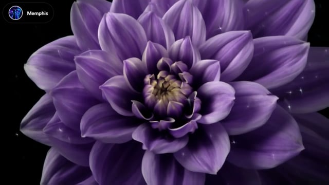 processed-video (11)