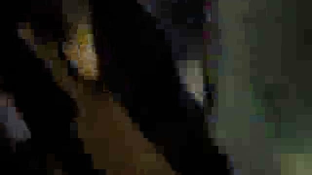 ➡️ अलीगढ़
➡️ युवक की बाइक पुलिसकर्मी से टकराने पर वसूली
➡️ 10,000 रुपये वसूलने का वीडियो वायरल
➡️ सिविल लाइन थाना इलाके का मामला