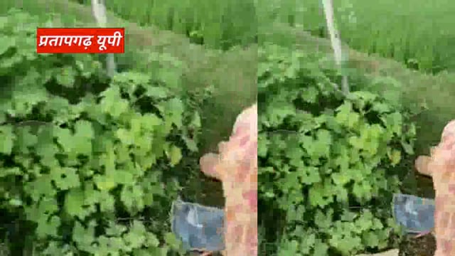 आज की सभी बड़ी खबरें 04/09/2025 || dinbhar ki badi khabren ||  pratapgarh news @reporterJitendra 
