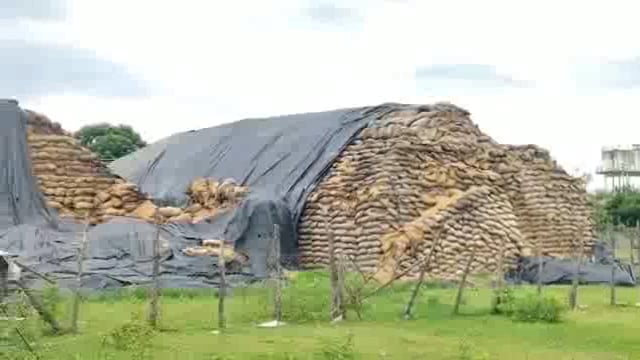 अहेरी लाखो रुपयाचे धान सडण्याच्या मार्गावर