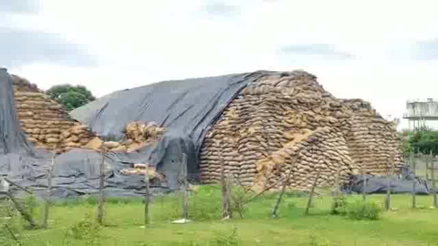 अहेरी लाखो रुपयाचे धान सडण्याच्या मार्गावर