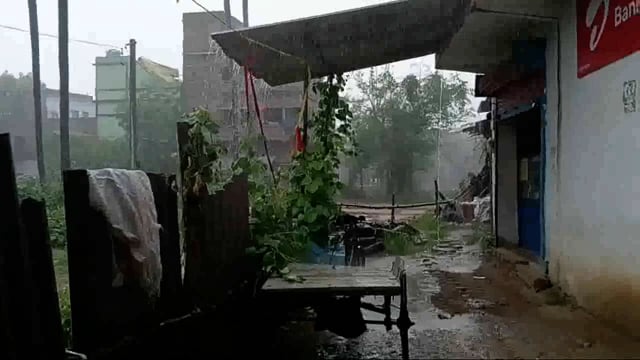 सिरदला प्रखंड क्षेत्र में शनिवार को दोपहर बाद जमकर हुई बारिश किसानों के चेहरे पर लौटी खुशी