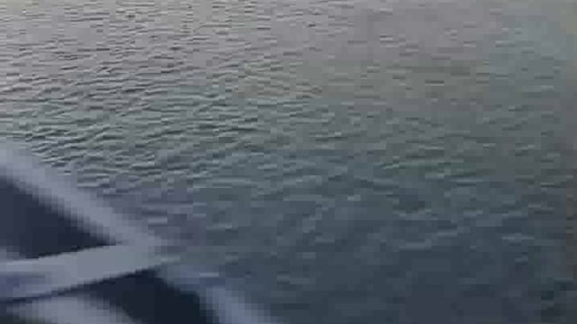 मथुरा: रौद्र रूप में बह रही हैं यमुना महारानी: हजारों लोगों ने किया पलायन 