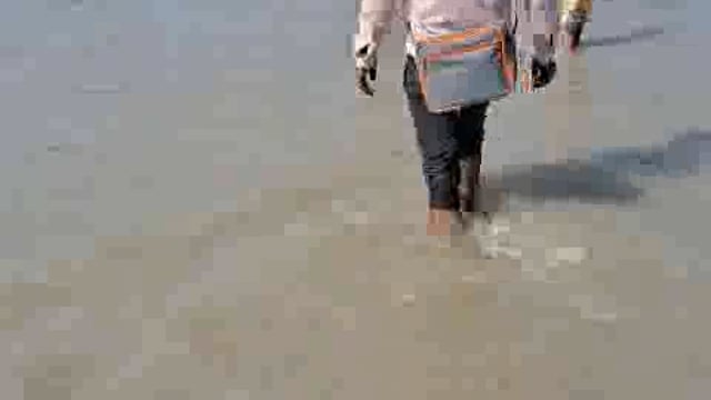 पित्त पक्ष पूर्णिमा पर रामगंगा का विकराल रूप