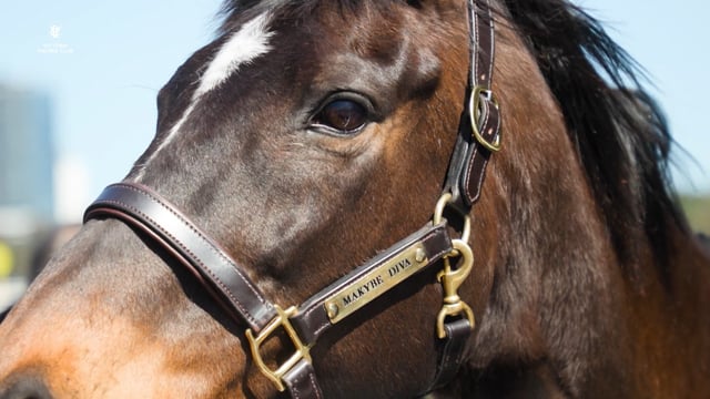 Makybe Diva: ".. a champion becomes a legend!"