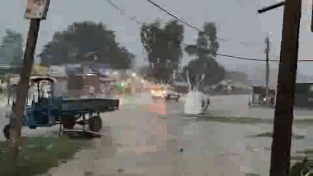 बारिश से किसान के खिले चेहरे, धान की फसल में आई जान