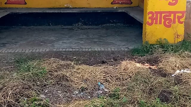 त्रिकौलिया बस स्टैंड पर पड़ा हुआ कूड़ा नहीं किया गया अभी तक साफ जिसमें लोगों को हो रही है  दिक्कत