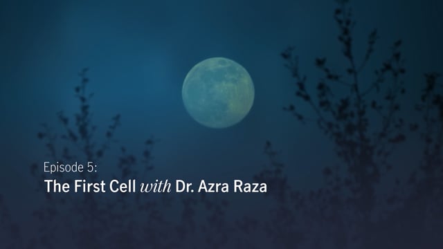 Dr. Raza