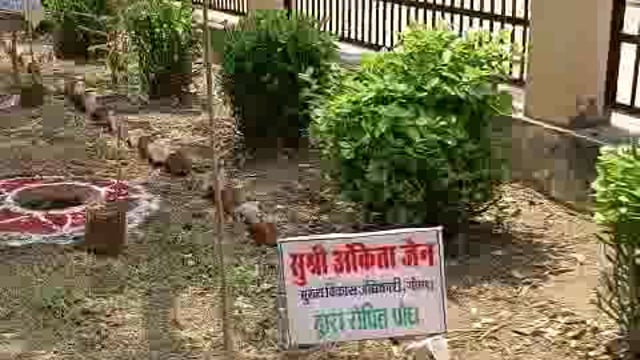 दीवनी न्यायालय परिसर में पौधरोपण करते हुए माननीय प्रशासनिक न्यायमूर्ति श्री गौतम चौधरी जी, प्रभारी जिलाधिकारी / मुख्य वि