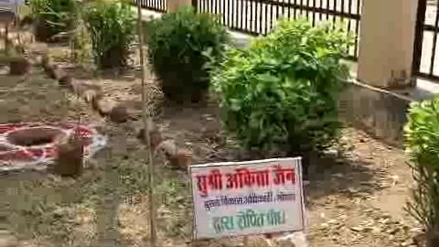 दीवनी न्यायालय परिसर में पौधरोपण करते हुए माननीय प्रशासनिक न्यायमूर्ति श्री गौतम चौधरी जी, प्रभारी जिलाधिकारी / मुख्य वि