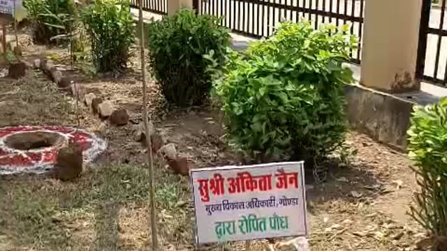 दीवनी न्यायालय परिसर में पौधरोपण करते हुए माननीय प्रशासनिक न्यायमूर्ति श्री गौतम चौधरी जी, प्रभारी जिलाधिकारी / मुख्य वि