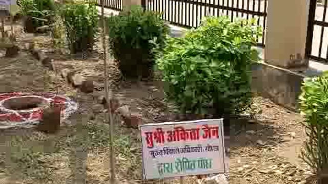 दीवनी न्यायालय परिसर में पौधरोपण करते हुए माननीय प्रशासनिक न्यायमूर्ति श्री गौतम चौधरी जी, प्रभारी जिलाधिकारी / मुख्य वि